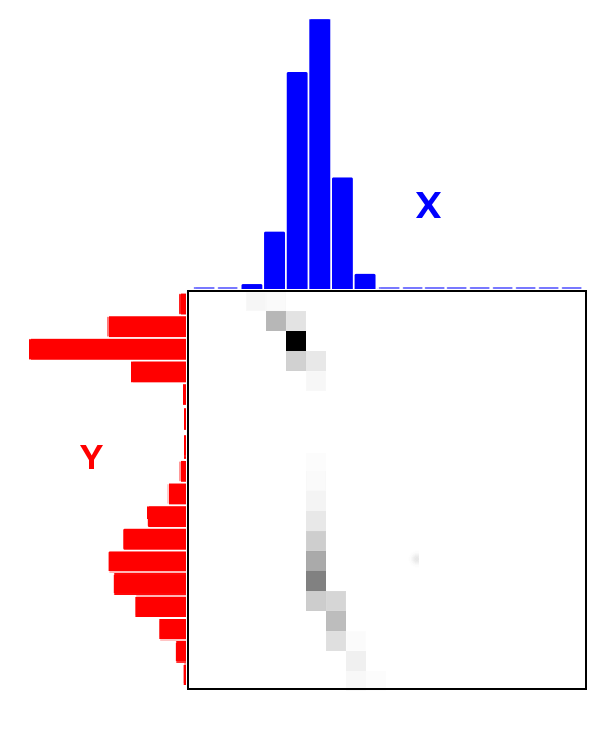 A transport plan drawn as a grayscale matrix, with a blue histogram X on top and a red histogram Y on the left, and dark cells along a curve showing where mass moves