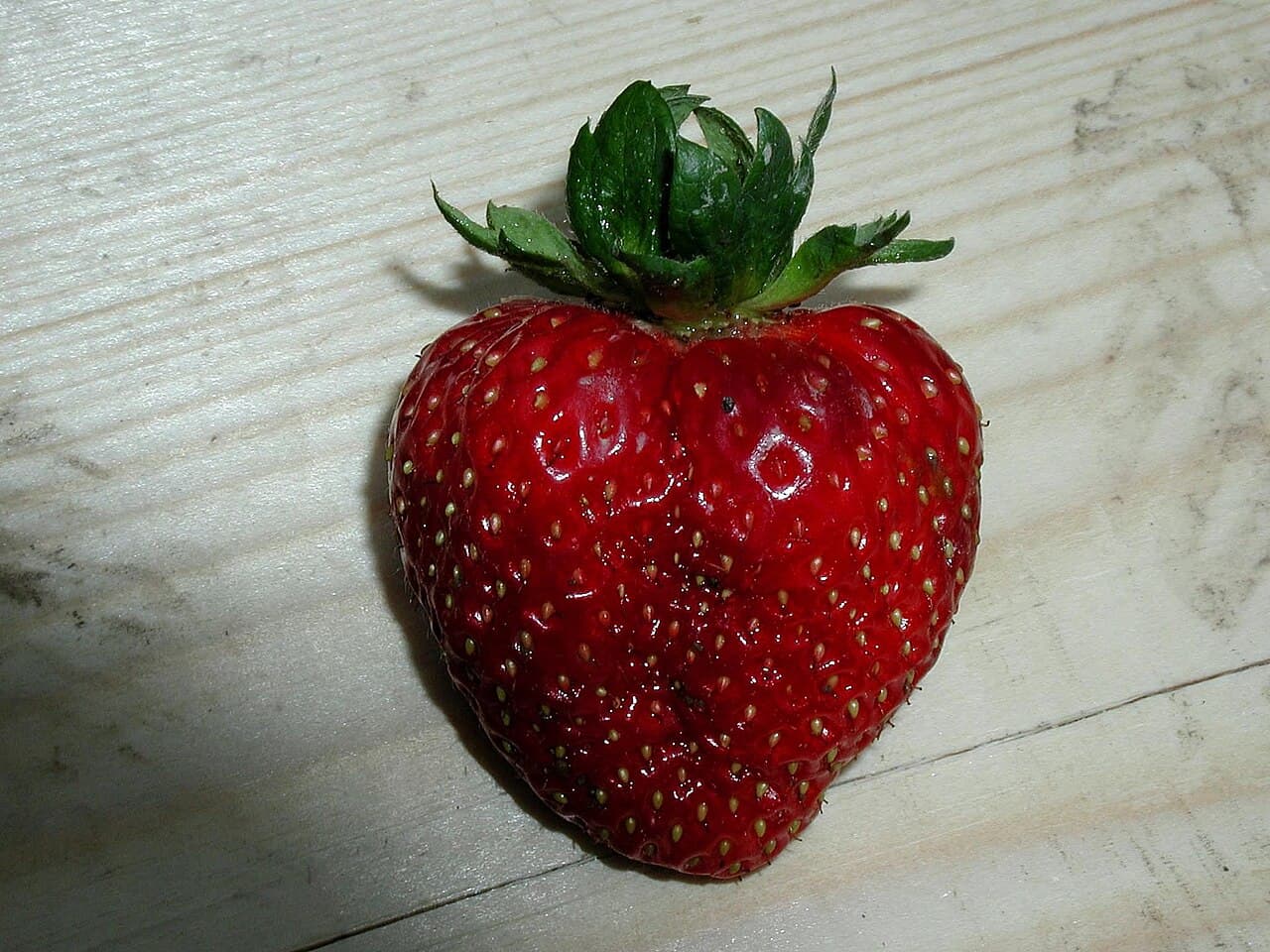 A single red strawberry photographed against a plain studio background